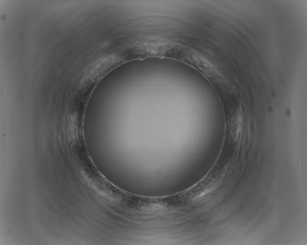 X0000064040594200601271204