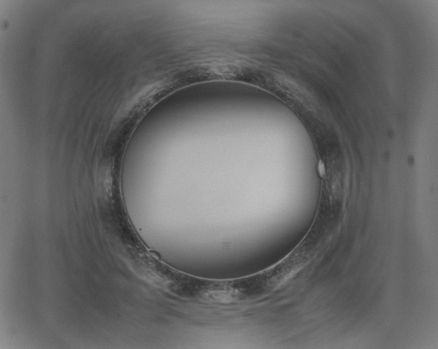 X0000064040595200601271204