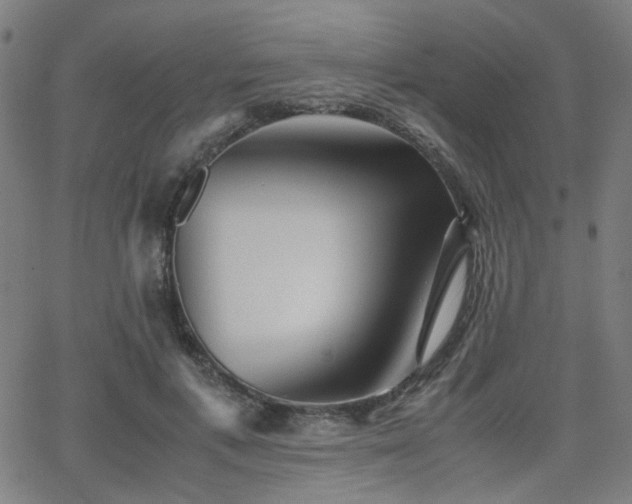 X0000064040597200601271204