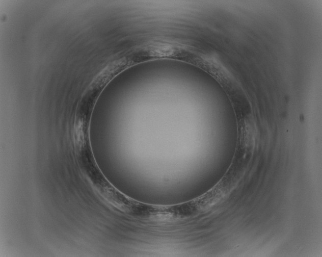 X0000064040598200601271204