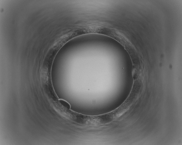 X0000064040599200601271204