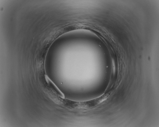 X0000064040601200601271204