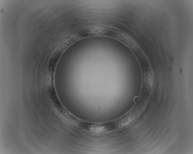 X0000064040602200601271204