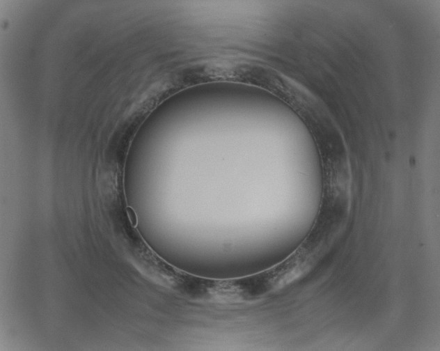 X0000064040603200601271204