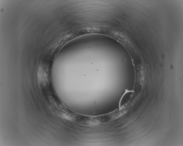 X0000064040604200601271204