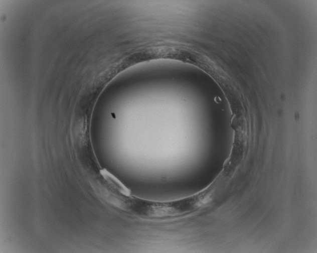 X0000064040605200601271204