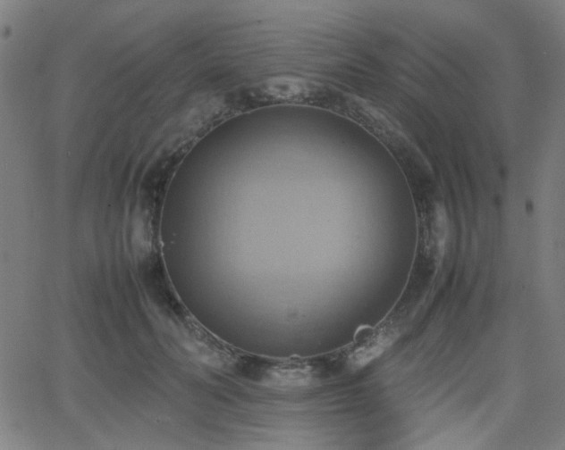 X0000064040606200601271204