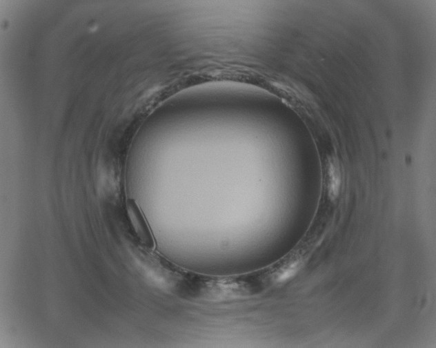 X0000064040607200601271204