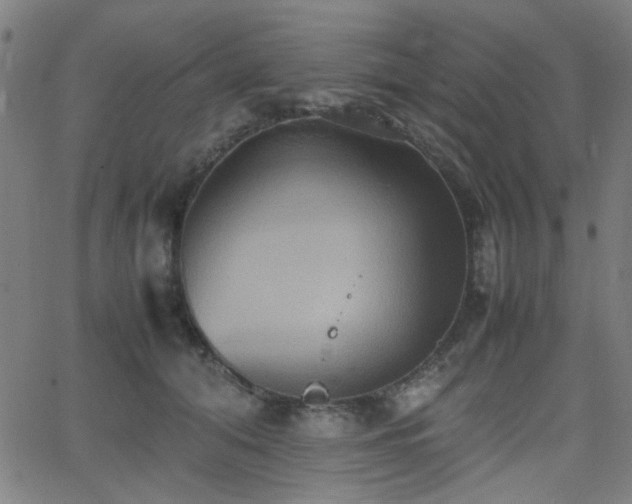 X0000064040608200601271204