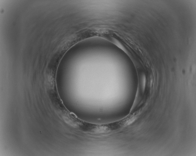 X0000064040609200601271204