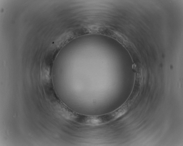 X0000064040610200601271204