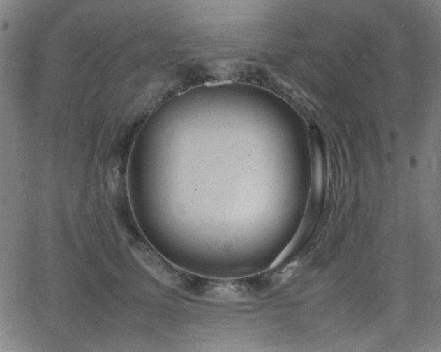 X0000064040611200601271204