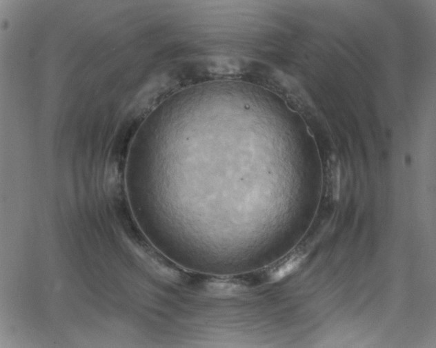 X0000064040614200601271204