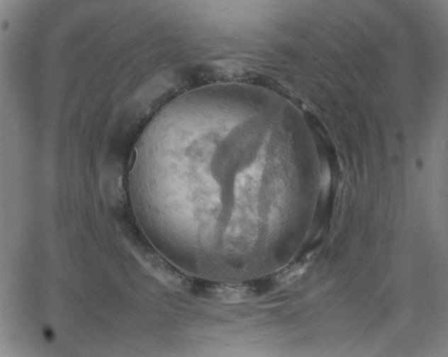 X0000064040615200601271204