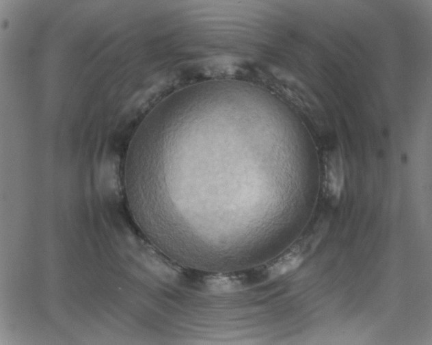 X0000064040616200601271204