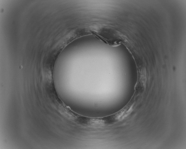 X0000064040617200601271204