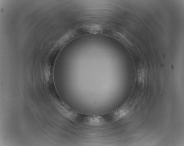 X0000064040618200601271204