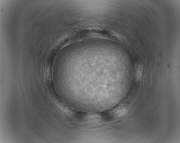 X0000064040619200601271204