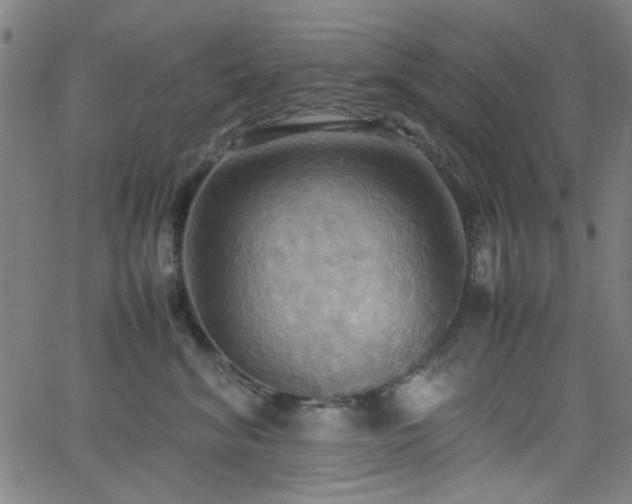 X0000064040620200601271204