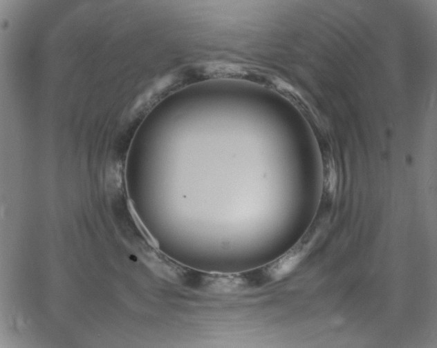 X0000064040621200601271204