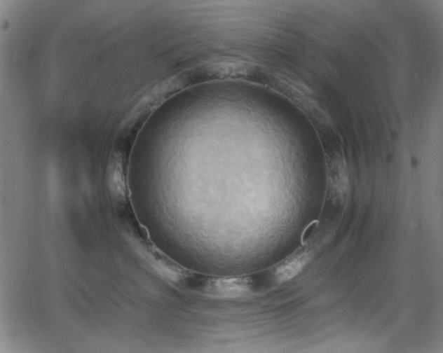 X0000064040622200601271203