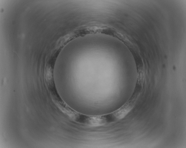 X0000064040623200601271203