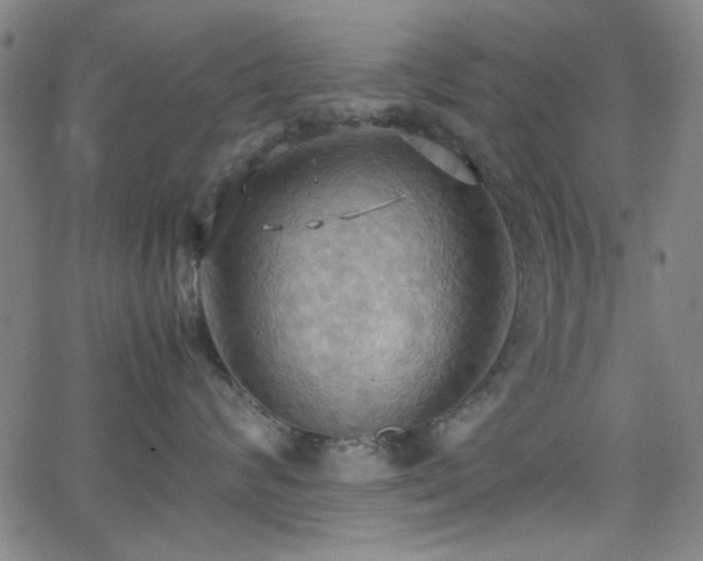 X0000064040624200601271203