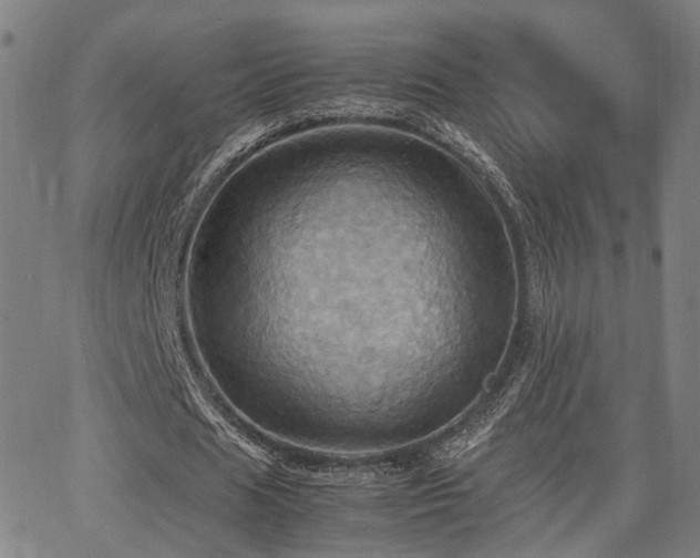 X0000064040625200601271203