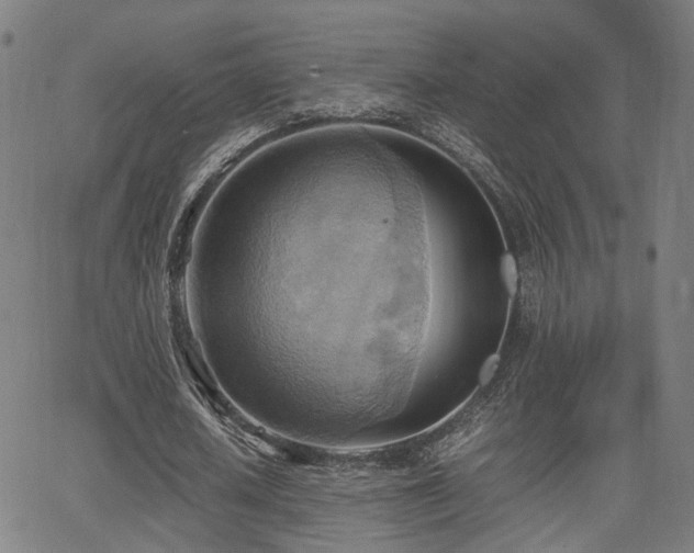 X0000064040626200601271203