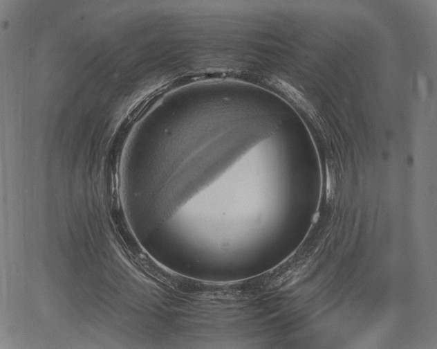 X0000064040627200601271203