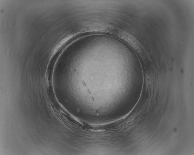 X0000064040628200601271203