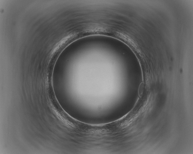 X0000064040629200601271203