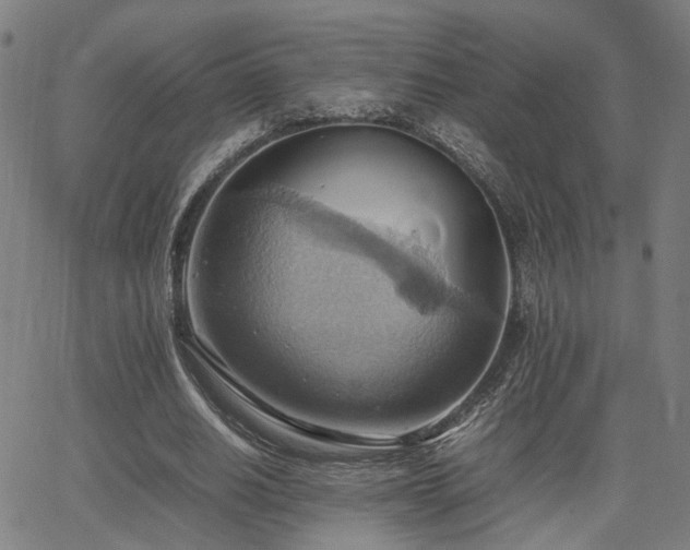 X0000064040630200601271203