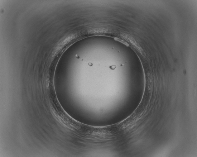 X0000064040631200601271203