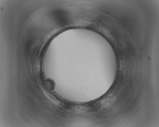 X0000064040632200601271203