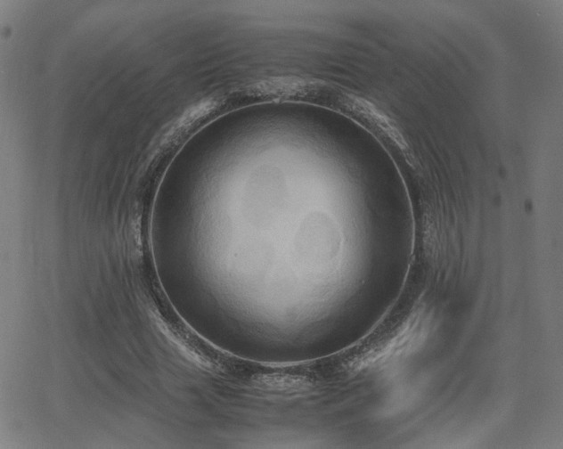 X0000064040633200601271203