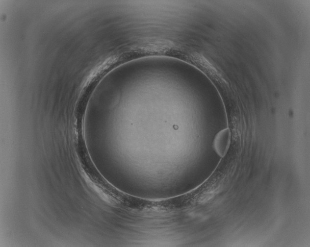 X0000064040634200601271203