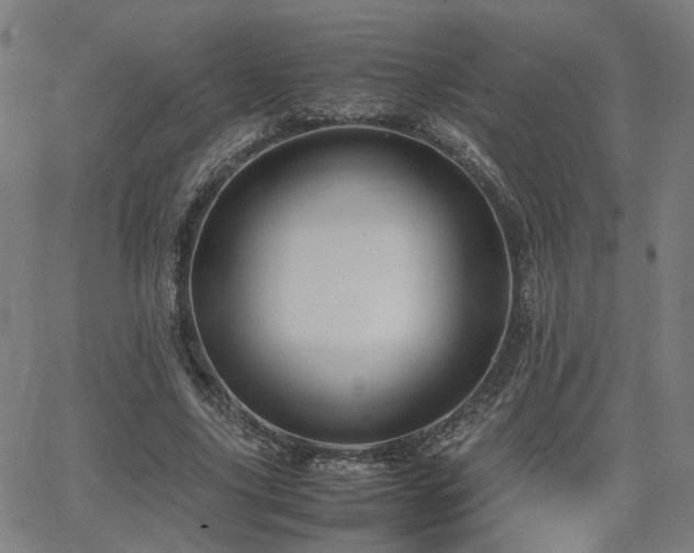 X0000064040635200601271203