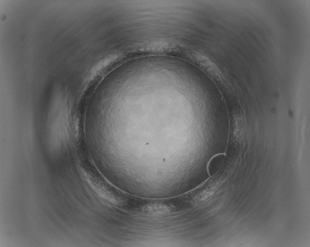 X0000064040636200601271203