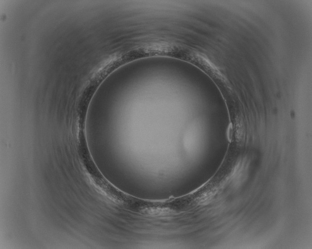 X0000064040637200601271203