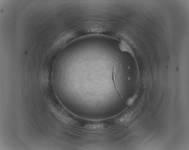 X0000064040639200601271203