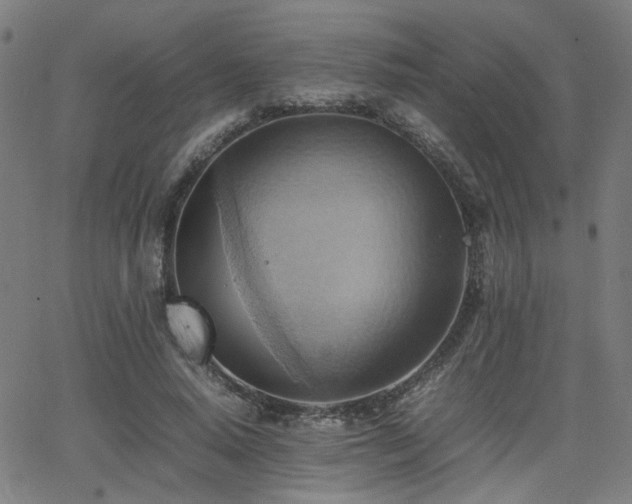 X0000064040640200601271203