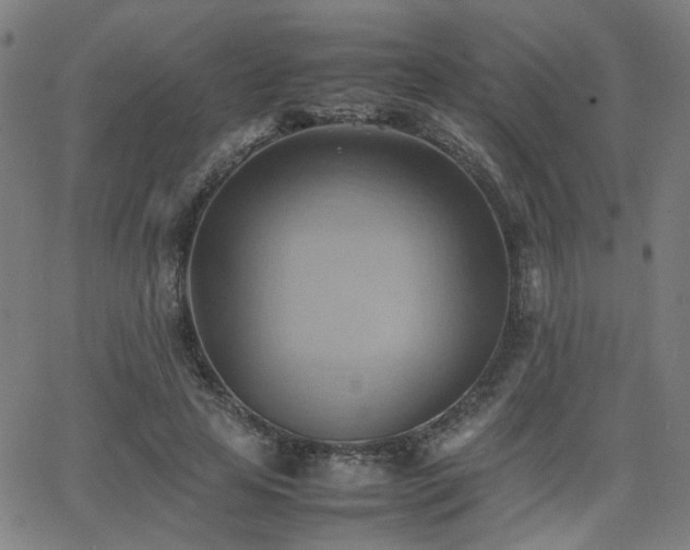 X0000064040641200601271203