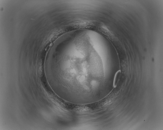 X0000064040642200601271203