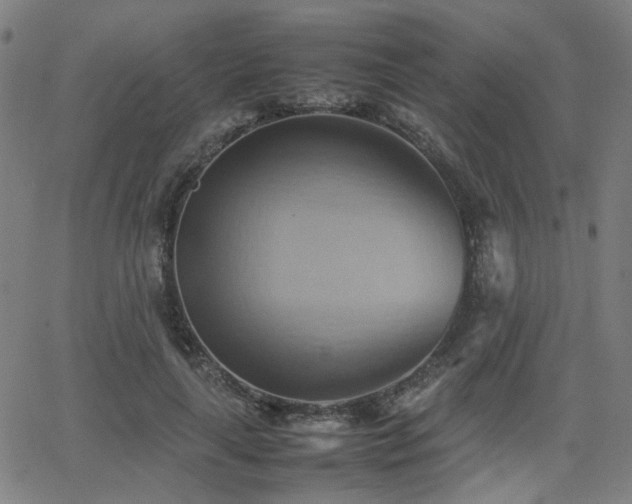 X0000064040643200601271203