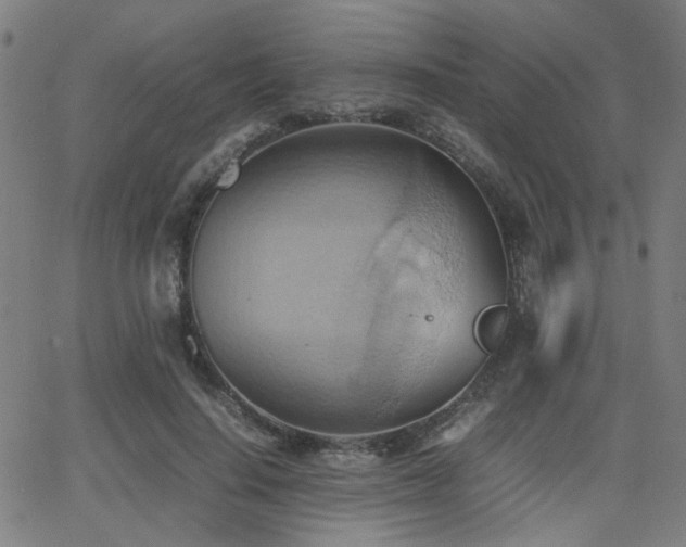 X0000064040644200601271203