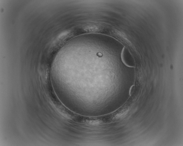 X0000064040645200601271203