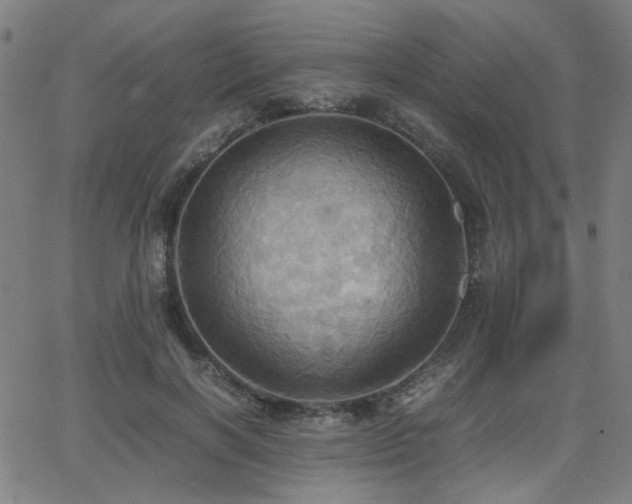 X0000064040646200601271203