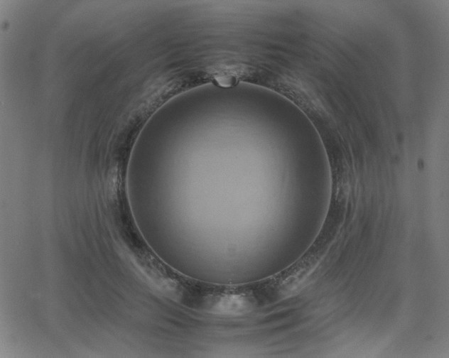 X0000064040647200601271203