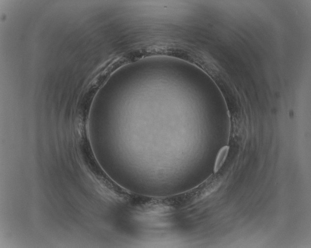 X0000064040648200601271203